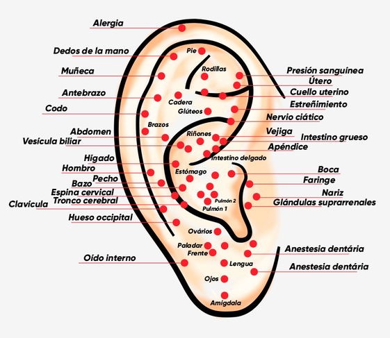 Auriculoterapia